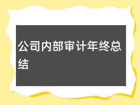 公司内部审计年终总结