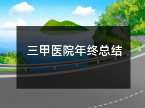 三甲医院年终总结