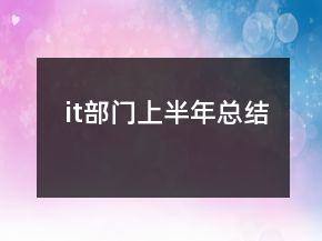 it部门上半年总结