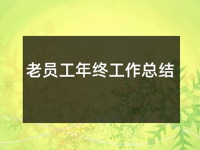 老员工年终工作总结