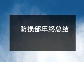 防损部年终总结
