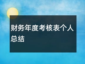 财务年度考核表个人总结