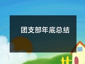 团支部年底总结