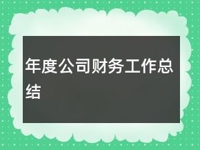 年度公司财务工作总结