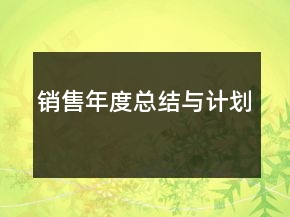 销售年度总结与计划