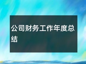 公司财务工作年度总结