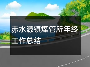 赤水源镇煤管所年终工作总结