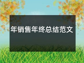 年销售年终总结范文