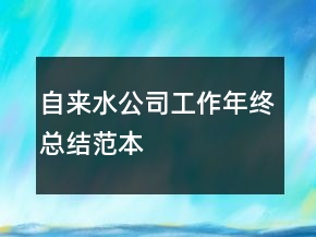 自来水公司工作年终总结范本
