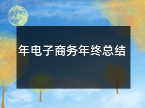 年电子商务年终总结——