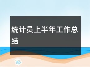 统计员上半年工作总结