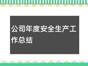 公司年度安全生产工作总结