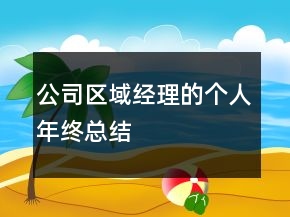 公司区域经理的个人年终总结