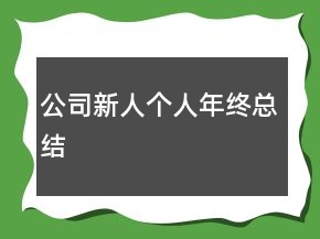 公司新人个人年终总结