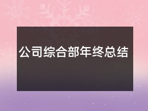 公司综合部年终总结