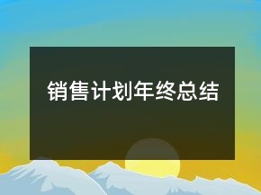 销售计划年终总结
