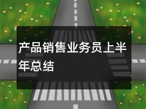 产品销售业务员上半年总结