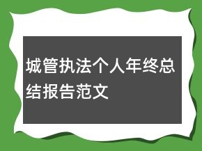 城管执法个人年终总结报告范文