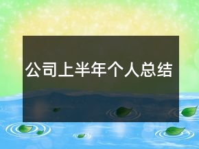 公司上半年个人总结