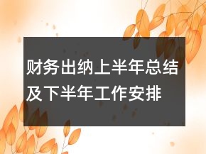 财务出纳上半年总结及下半年工作安排