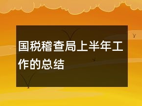 国税稽查局上半年工作的总结