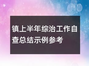 镇上半年综治工作自查总结示例参考