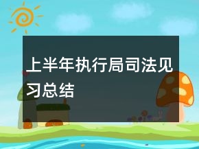 上半年执行局司法见习总结