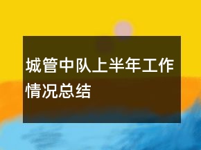 城管中队上半年工作情况总结