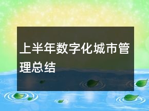 上半年数字化城市管理总结