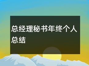 总经理秘书年终个人总结
