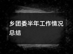 乡团委半年工作情况总结