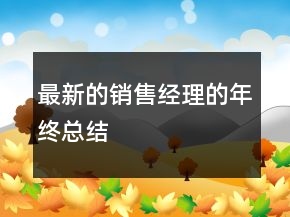 最新的销售经理的年终总结
