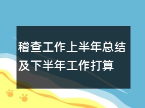 稽查工作上半年总结及下半年工作打算