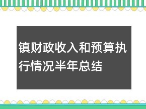 镇财政收入和预算执行情况半年总结