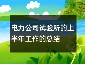 电力公司试验所的上半年工作的总结