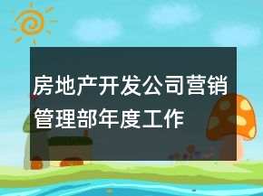 房地产开发公司营销管理部—年度工作总结及工作计划思路