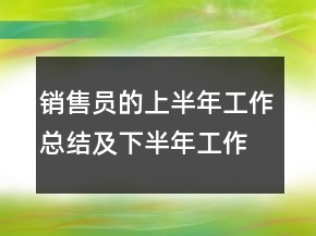 销售员的上半年工作总结及下半年工作计划