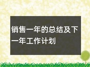 销售一年的总结及下一年工作计划