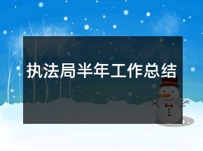 执法局半年工作总结