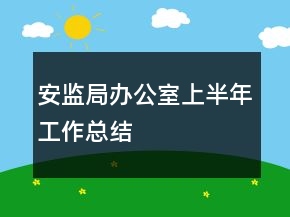 安监局办公室上半年工作总结
