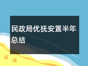 民政局优抚安置半年总结