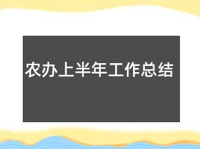 农办上半年工作总结