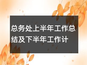 总务处上半年工作总结及下半年工作计划要点