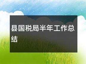 县国税局半年工作总结