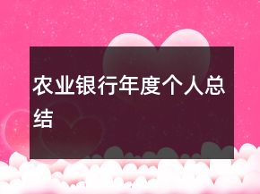 农业银行年度个人总结
