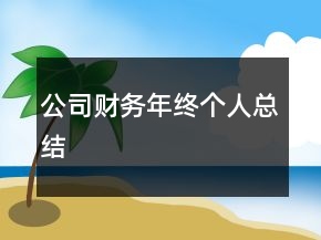 公司财务年终个人总结