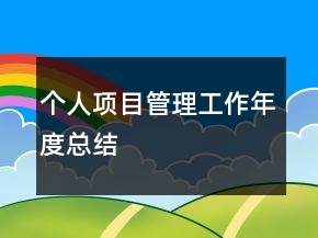 个人项目管理工作年度总结