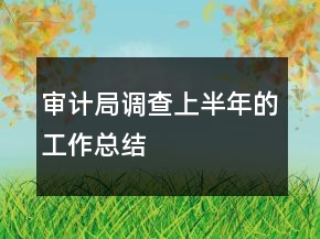 审计局调查上半年的工作总结