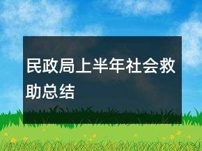 民政局上半年社会救助总结