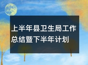 上半年县卫生局工作总结暨下半年计划
